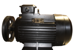MOTOR 10HP 1400RPM 380V CON POLEA product image