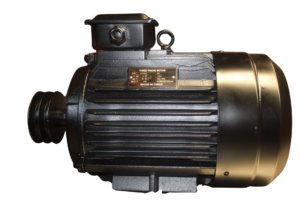 MOTOR 10HP 2800RPM 380V CON POLEA product image
