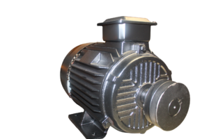 MOTOR 10HP 2800RPM 380V CON POLEA product image